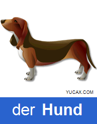 perro en alemán